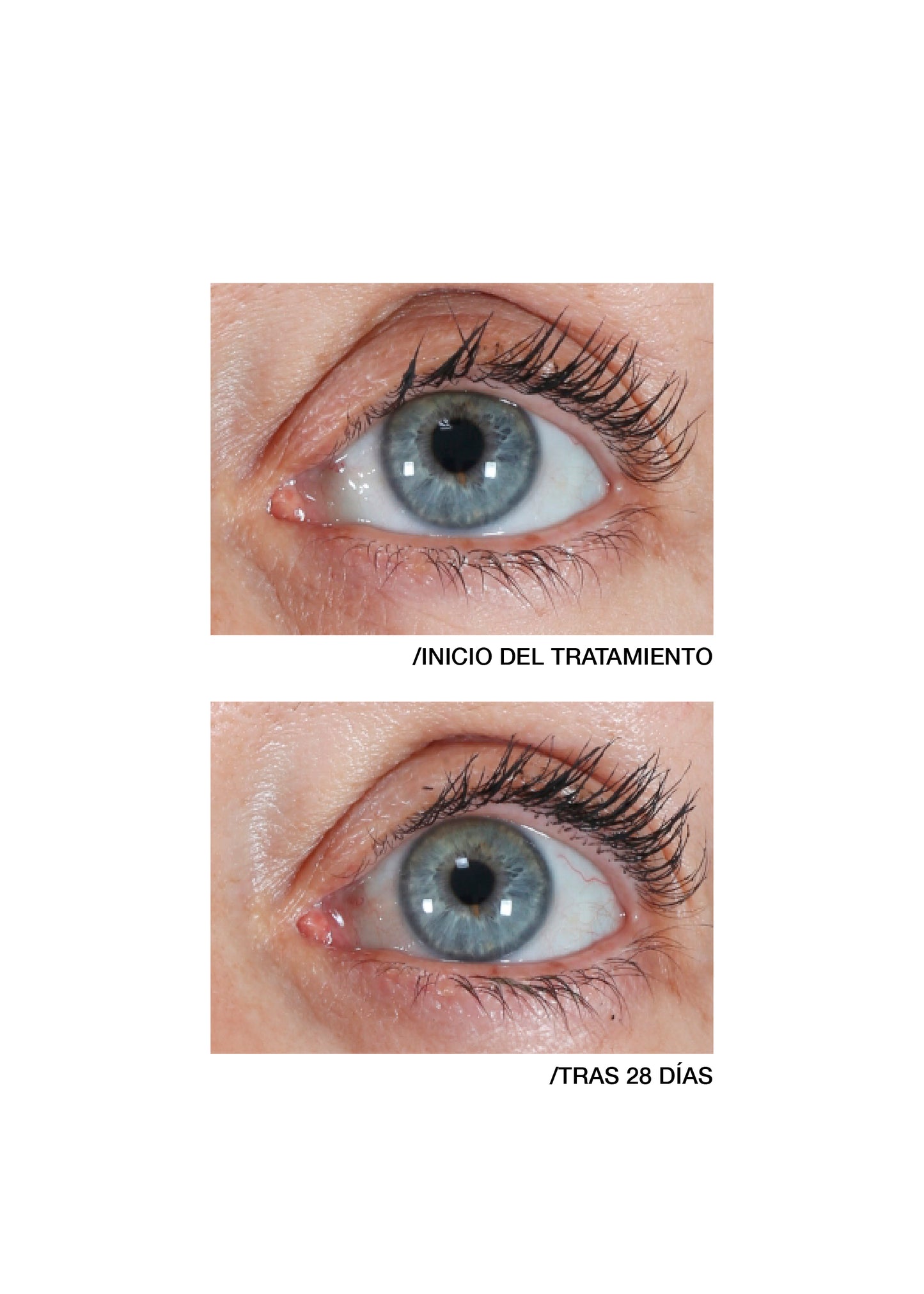 Multiactive Treatment Black Mascara